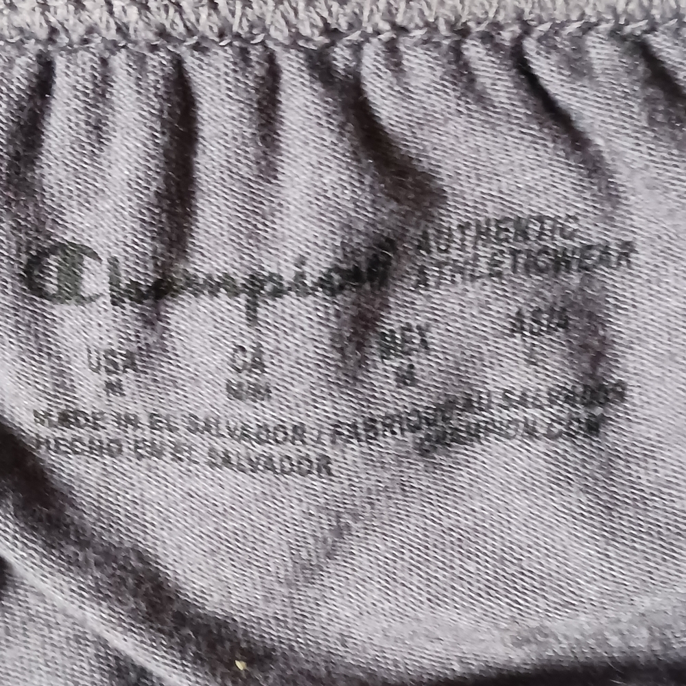 Champion - Picture 3 of 6